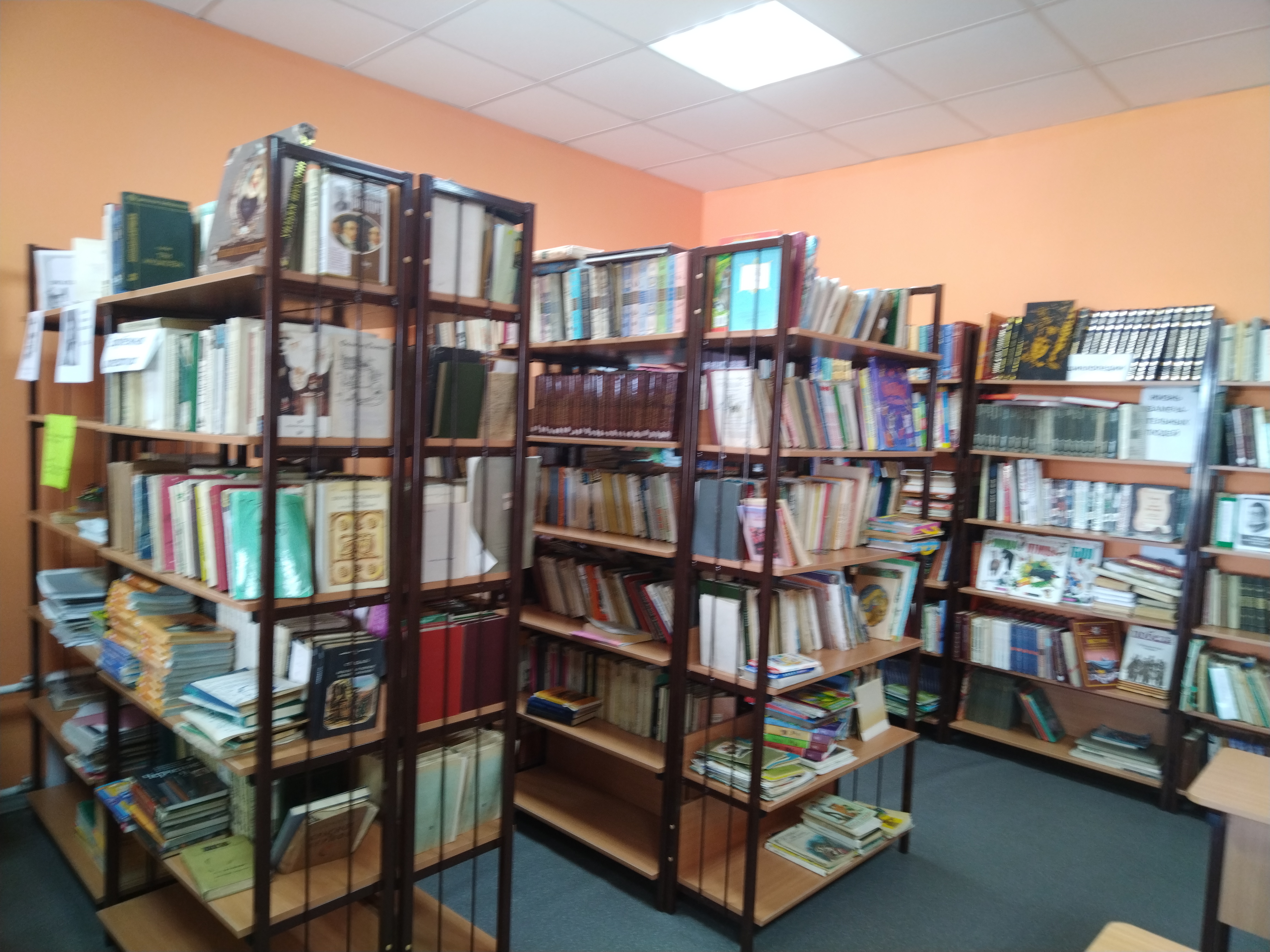 Библиотека школы с. Шишкино